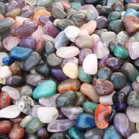 Hobbies & Collections